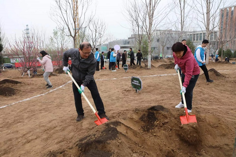 同植科学林 共建科学城 我区开展义务植树活动图片