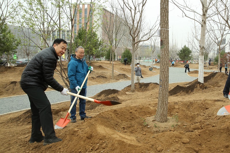 同植科学林 共建科学城 我区开展义务植树活动图片 同植科学林 共建科学城 我区开展义务植树活动图片